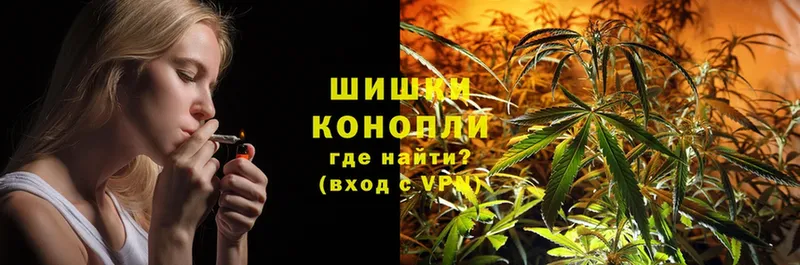 Шишки марихуана THC 21%  omg tor  Фролово 